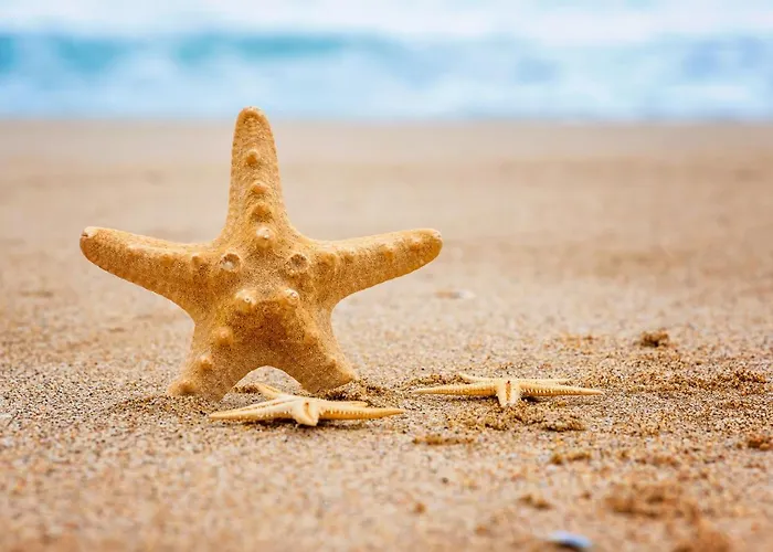 Hotel Mon Repos Jesolo