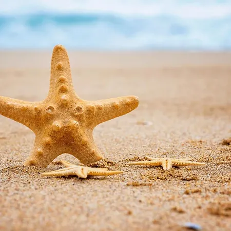 Szálloda Mon Repos Lido di Jesolo